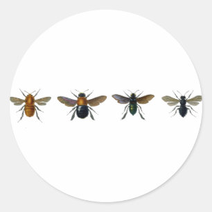 Pegatina Redonda Abejas