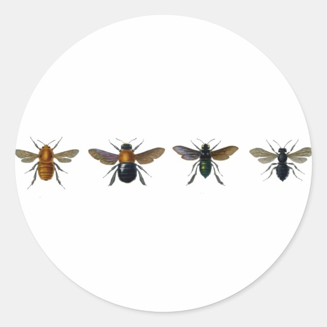 Pegatina Redonda Abejas (Anverso)