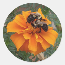 Pegatina Redonda Abejas con flores de Marigold