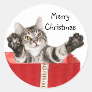 Pegatina Redonda Abrazo del navidad del gatito
