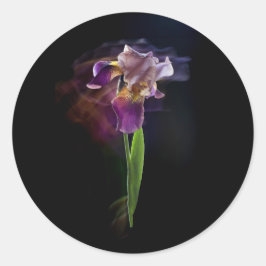 Pegatina Redonda Abstract Iris Flower – Elegant Floral Art