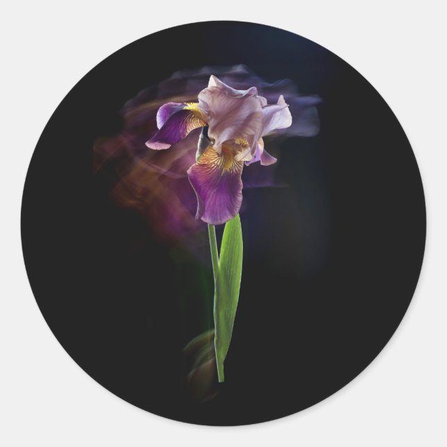 Pegatina Redonda Abstract Iris Flower – Elegant Floral Art (Anverso)
