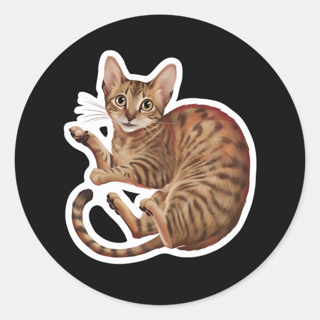 Pegatina Redonda Abyssinian (Anverso)