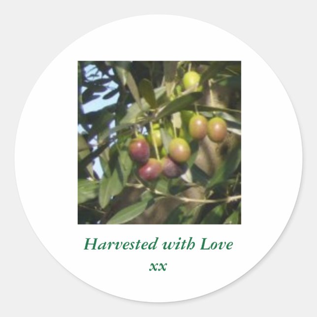 Pegatina Redonda Aceitunas maduras (Anverso)