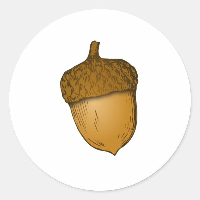 Pegatina Redonda Acorn de árbol (Anverso)