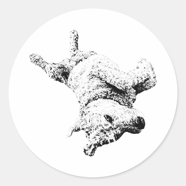 Pegatina Redonda Actitud Belly arriba (Anverso)