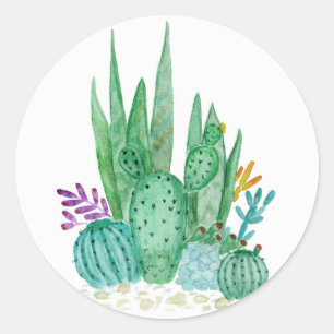 Pegatina Redonda Acuarela , cactus , suculentos
