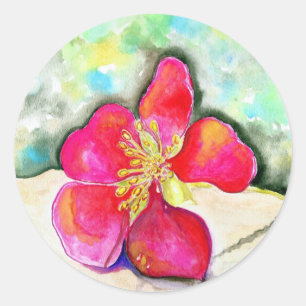 Pegatina Redonda Acuarela de Flor de Fresa Rosa
