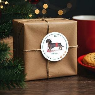 Pegatina Redonda Acuarela de perro traviesa Dachshund Suéter tritur