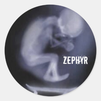 Pegatina Redonda adesivo Zephyr Skate