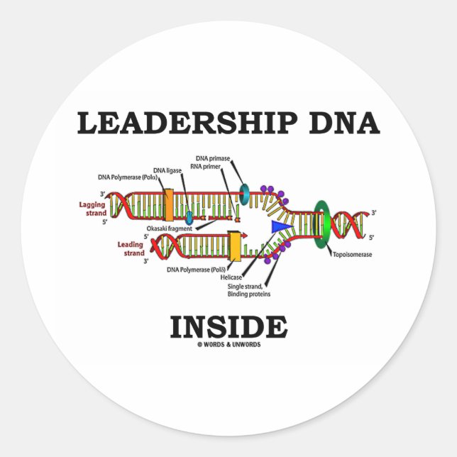 Pegatina Redonda ADN de liderazgo interno (replicación del ADN) (Anverso)
