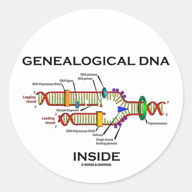 Pegatina Redonda ADN genealógico interno (replicación del ADN) (Anverso)