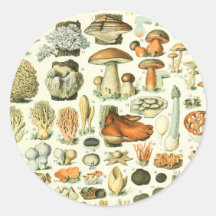 Adolphe Millot Champignon Mushroom Print