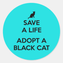 Adoptar un gato negro