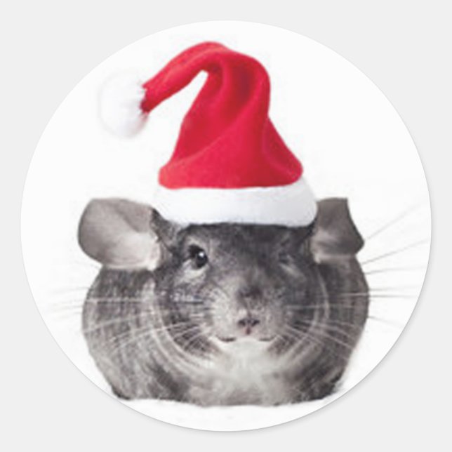 Pegatina Redonda Adorable Chinchilla Santa Model (Anverso)