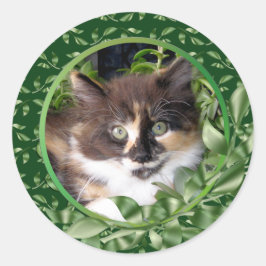 Pegatina Redonda Adorable Green Eyed Calico Kitten