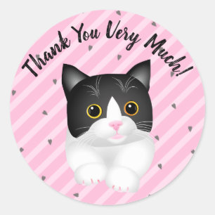 Pegatina Redonda Adorable Tuxedo Kitten Gracias