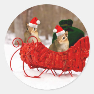 Pegatina Redonda Adorables Chipmunks de Santa Bebé en Sleigh