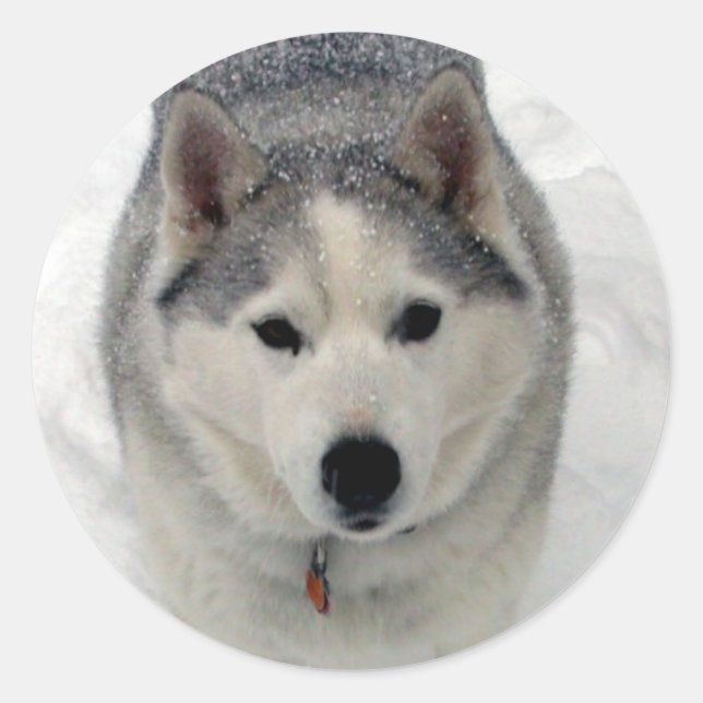 Pegatina Redonda Adoración total (Anverso)