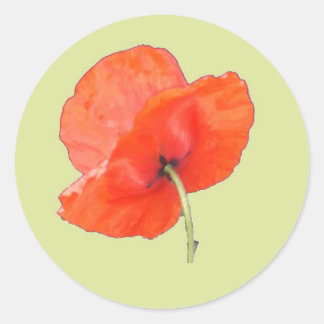Pegatina Redonda Adormidera roja Naranja única con vapor verde