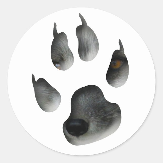 Pegatina Redonda AFG Arctic Fox Glimpse (Anverso)