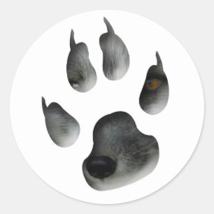 Pegatina Redonda AFG Arctic Fox Glimpse