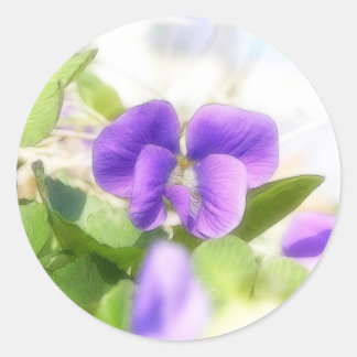 Pegatina Redonda Agradable Violeta De Primavera