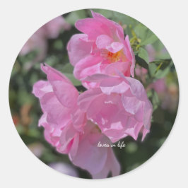 Pegatina Redonda Agradables Rosas rosas livianos