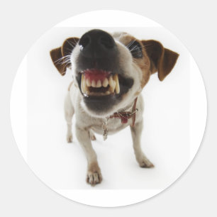 Pegatina Redonda agresivo