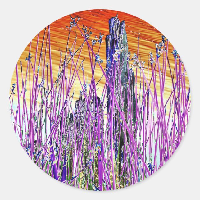 PEGATINA REDONDA AGUA (Anverso)