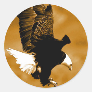 Pegatina Redonda Águila americana calva