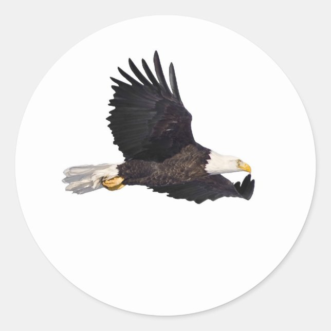 Pegatina Redonda Águila calva americana (Anverso)
