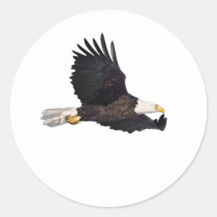 Pegatina Redonda Águila calva americana