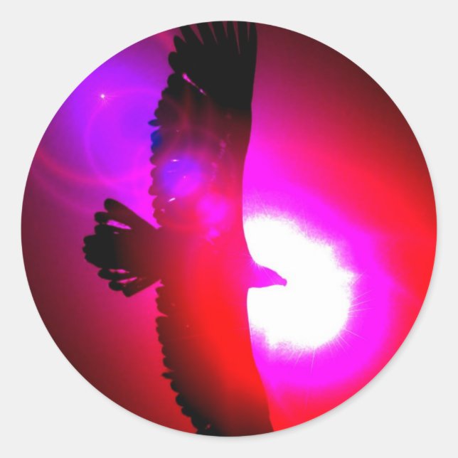 Pegatina Redonda Águila calva americana (Anverso)