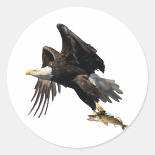 Pegatina Redonda Águila con pescado
