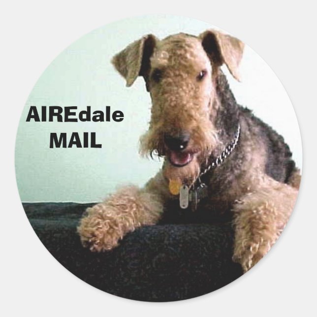 Pegatina Redonda AIREdale MAIL (Anverso)