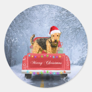 Pegatina Redonda Airedale Terrier Dog en Nieve sentado en Navidades