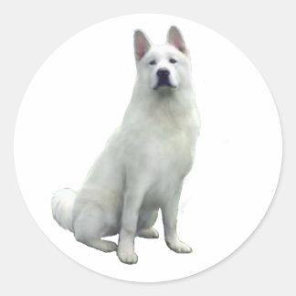 Pegatina Redonda Akita - Blanco