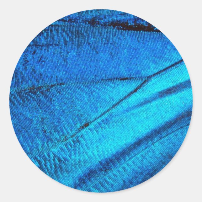 Pegatina Redonda Ala de mariposa azul irlandés (Anverso)