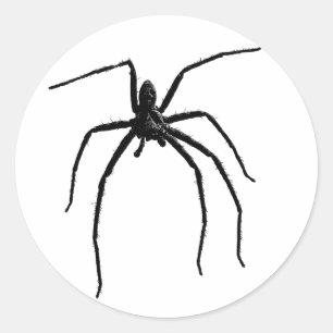 Pegatina Redonda Alarmante araña de halloween