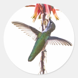 Pegatina Redonda Alas de colibrí