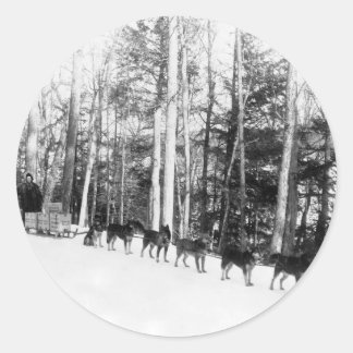 Pegatina Redonda Alaska Dog Sledding
