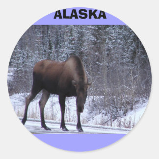 Pegatina Redonda Alaska Moose
