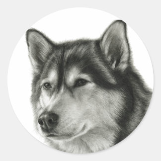 Pegatina Redonda Alaskan Malamute