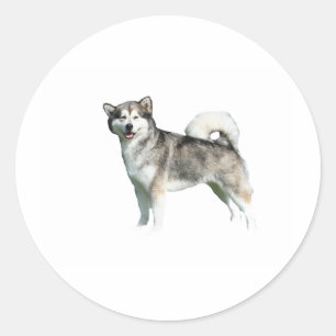 Pegatina Redonda alaskan malamute completo.png