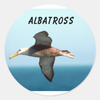 Pegatina Redonda Albatros Volando