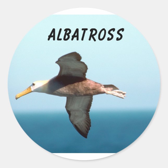 Pegatina Redonda Albatros Volando (Anverso)