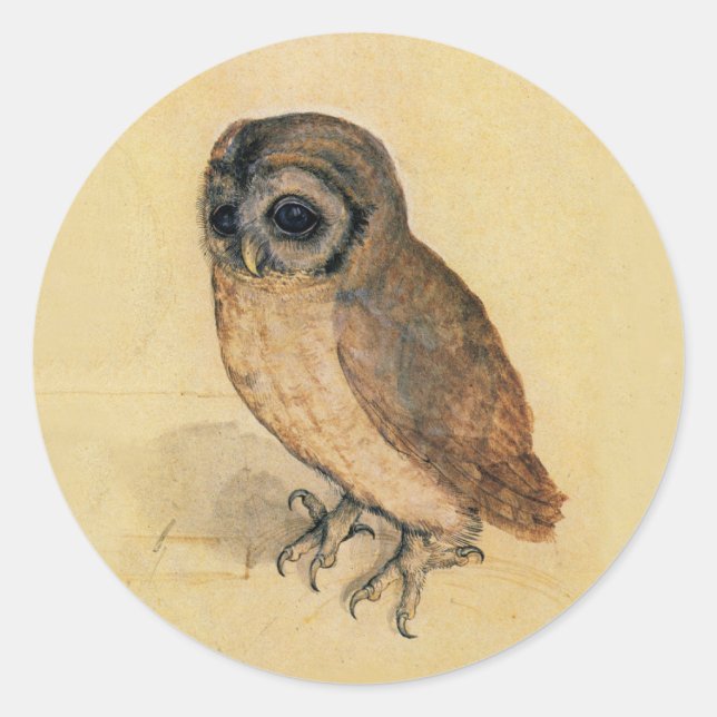 Pegatina Redonda Albrecht Durer The Little Owl (Anverso)