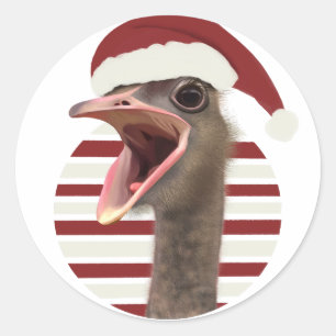 Pegatina Redonda Alegres Navidades De Ostrich Con Santa Hat