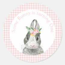 Algun conejo es un cumpleaños de gingham rosa